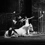 Txapakan, el caballo blanco que trotará junto a Camille Decourtye, será uno de los protagonistas de este montaje que también cuenta con una docena de palomas