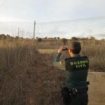 Agentes en la alambrada cortada para acceder al vivero de Golmayo (Soria).SUBDELEGACIÓN DEL GOBIERNO11/11/2022