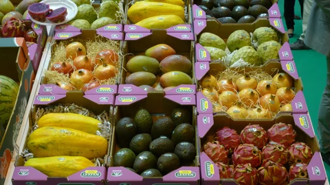 Frutas de otoño