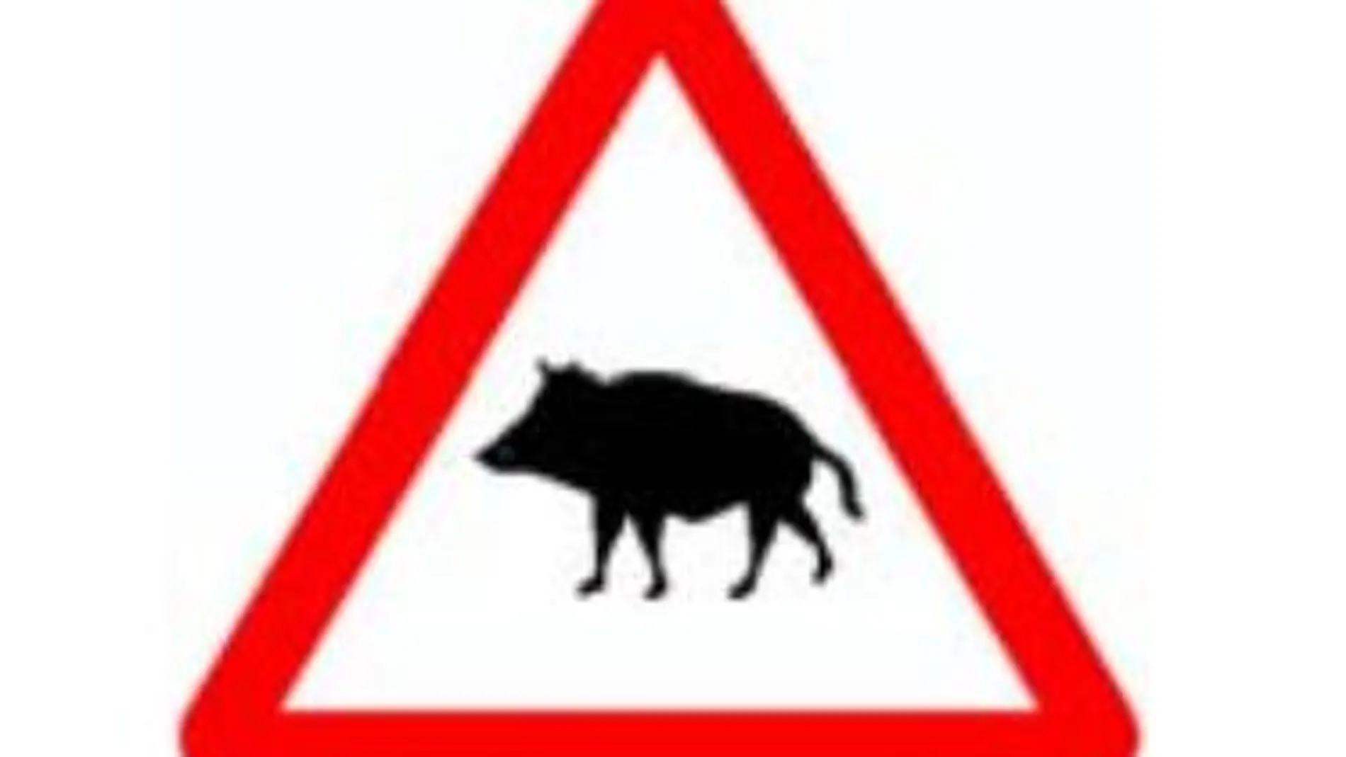 Señal que advierte de la presencia de animales salvajes en la carretera, especialmente jabalíes
