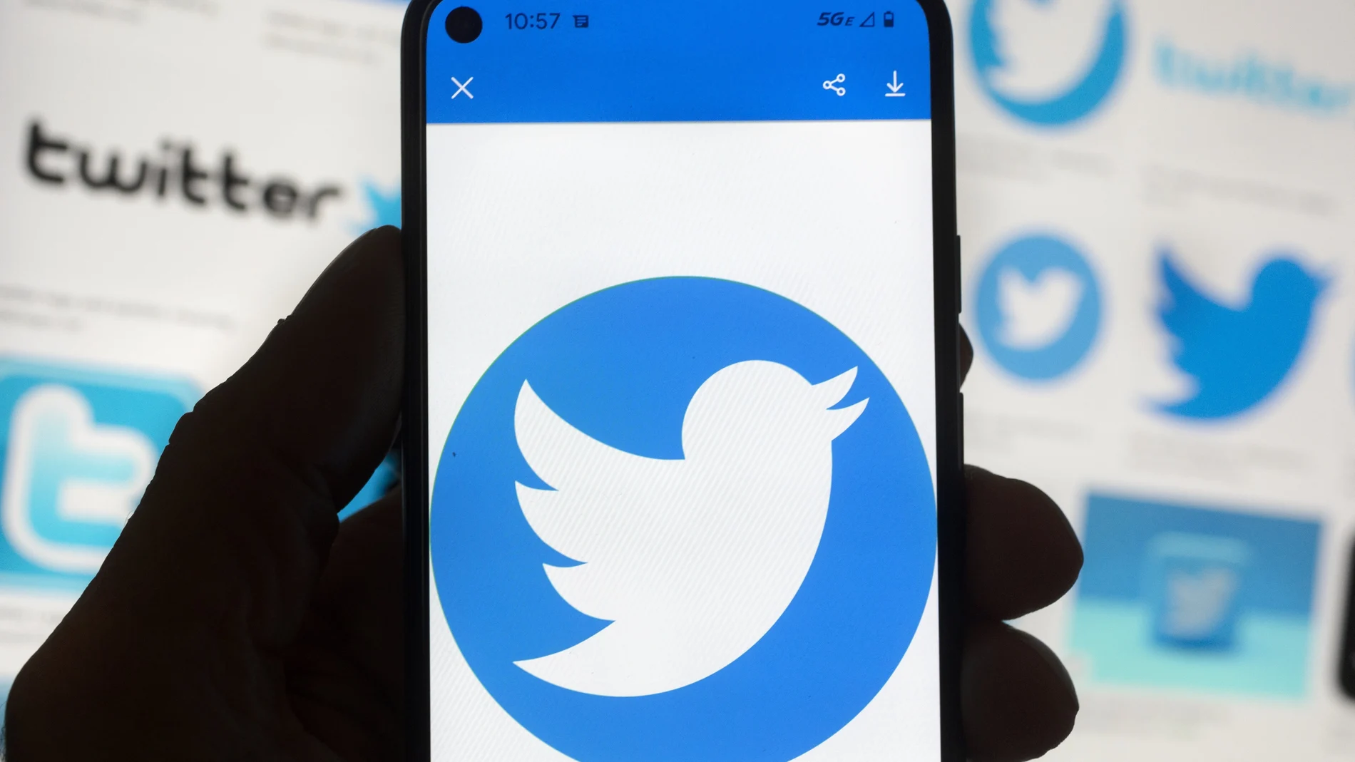 ¿Cuánto sabe de ti Twitter? (AP Photo/Michael Dwyer, File)