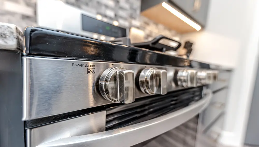 Al disponer las castañas en la bandeja del horno, debemos repartirlas de forma que no se amontonen una sobre otra | Fuente: mgattorna /pixabay