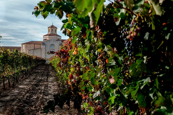 Valladolid: kilómetros únicos de excelencia y buen vino