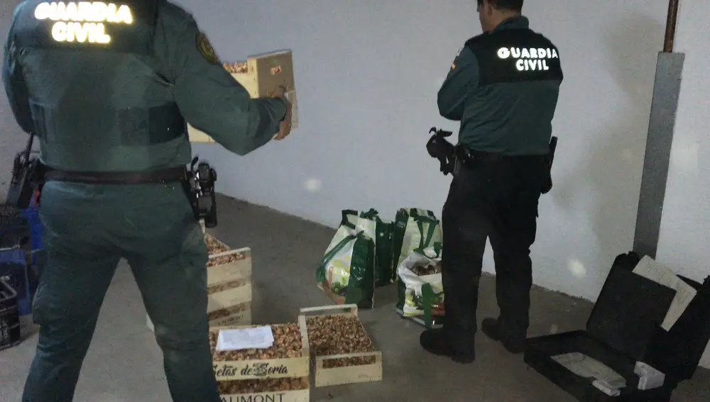 La Guardia Civil decomisa 93 kilos entre boletus y níscalos en la primera partida de setas en campaña otoñal en Soria