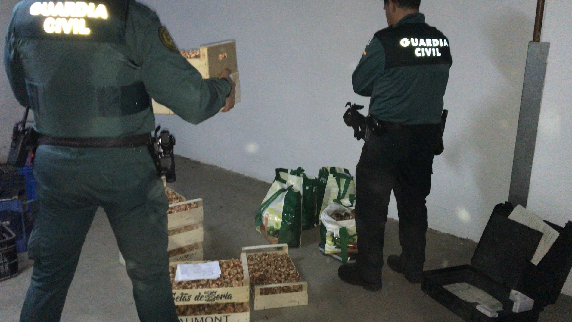 La Guardia Civil decomisa 93 kilos entre boletus y níscalos en la primera partida de setas en campaña otoñal en Soria