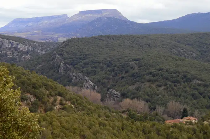 El vino como gancho para reforestar uno de los parques naturales más espectaculares de España