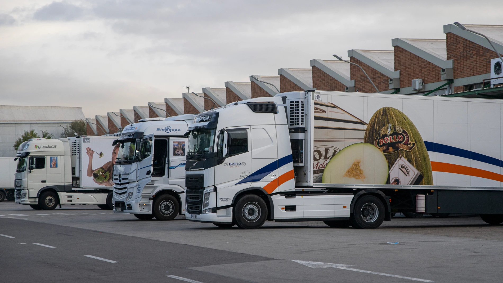 Varios camiones estacionados hoy en las inmediaciones de Mercabarna