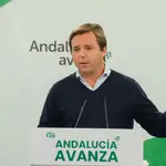 El secretario geneeral del PP-A, Antonio Repullo