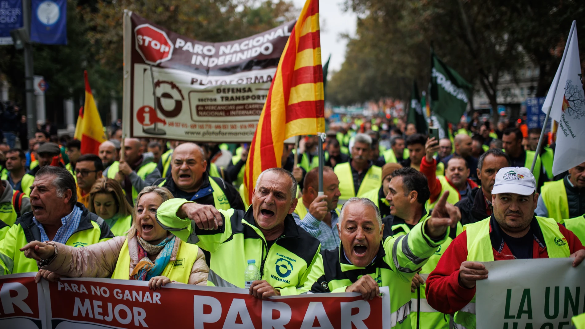 Varias personas participan en una manifestación de transportistas en el Paseo del Prado, a 14 de noviembre de 2022, en Madrid