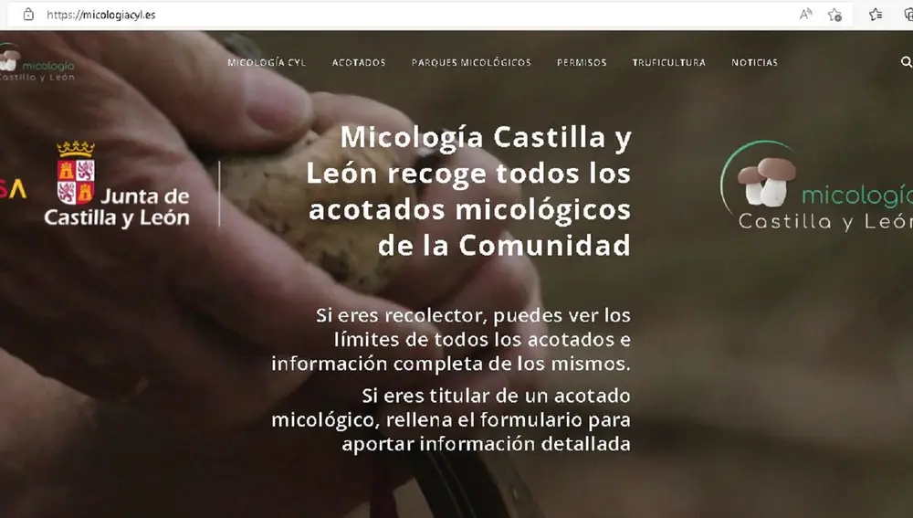 Portal micología.es de la Junta de Castilla y León
