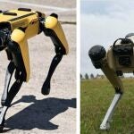 En la imagen de la izquierda, el robot de Boston Dynamics y a la derecha el de Ghost Robotics.