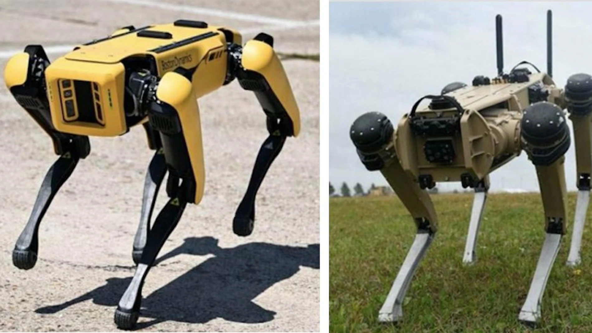 En la imagen de la izquierda, el robot de Boston Dynamics y a la derecha el de Ghost Robotics.