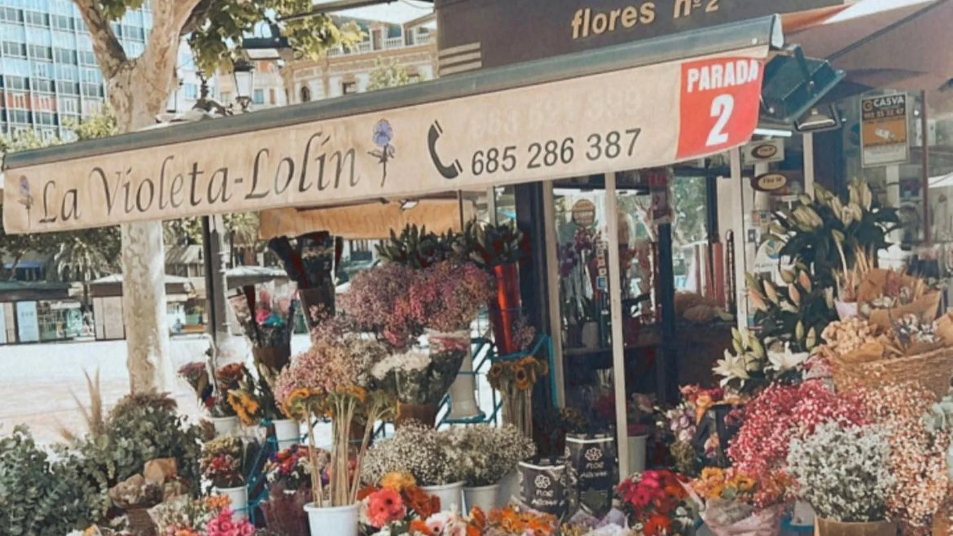 Floristería Violeta Lolín, ubicada en la plaza del Ayuntamiento de Valencia y también en el barrio de Benimaclet