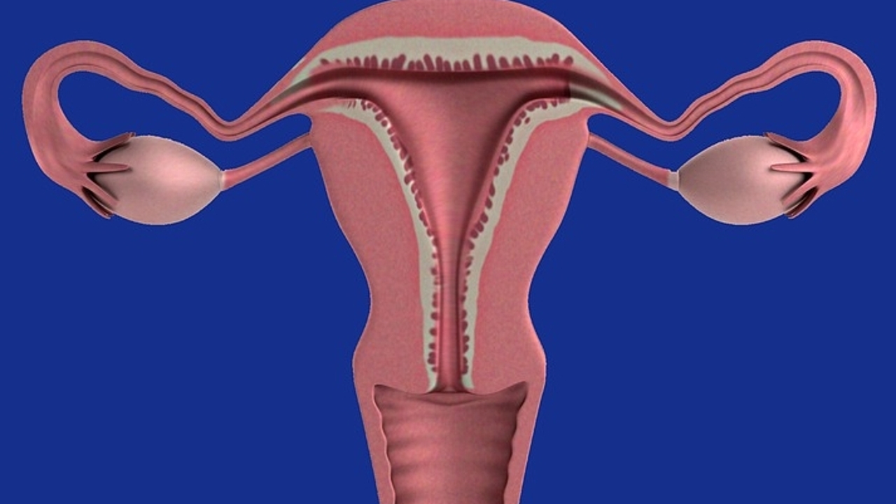 Ooforectomía (extirpación quirúrgica de los ovarios) // Middlesex Health