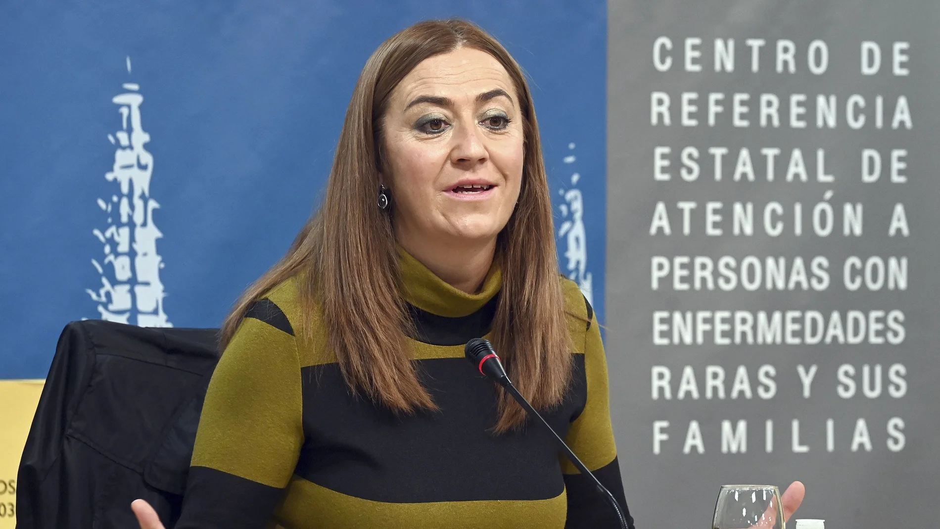 La delegada del Gobierno en Castilla y León, Virginia Barcones, atiende a los periodistas