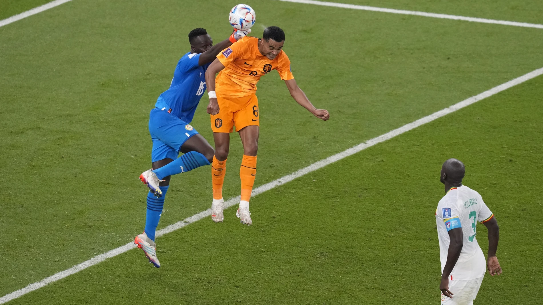 Mendy falló en la salida y Gakpo lo aprovechó para marcar el primer gol del Senegal - Países Bajos