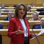 La vicepresidenta tercera y ministra para la Transición Ecológica y el Reto Demográfico, Teresa Ribera, participa en el pleno del Senado en Madrid