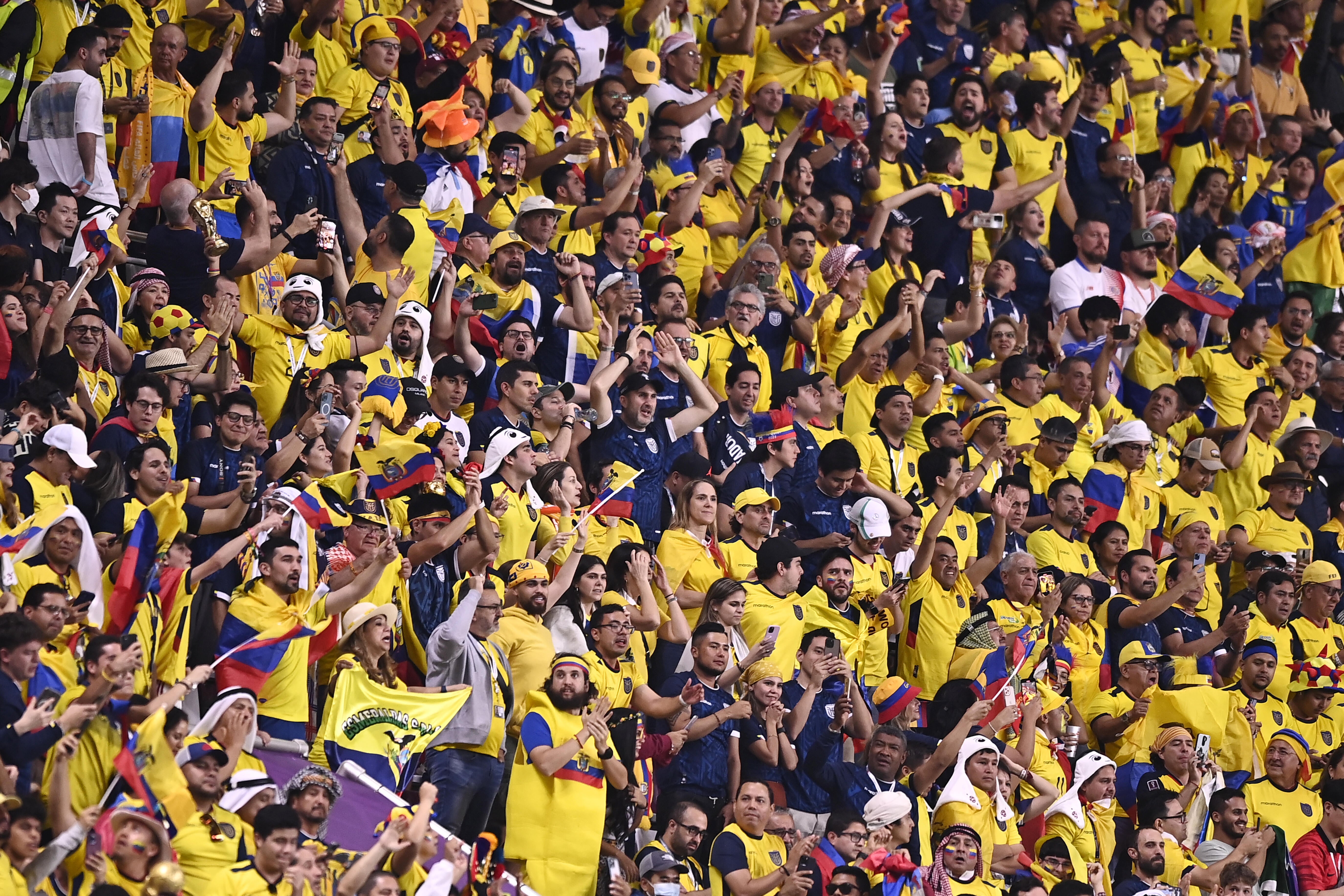 Así ha celebrado la prensa de Ecuador el empate contra Países Bajos en el Mundial de Qatar 2022