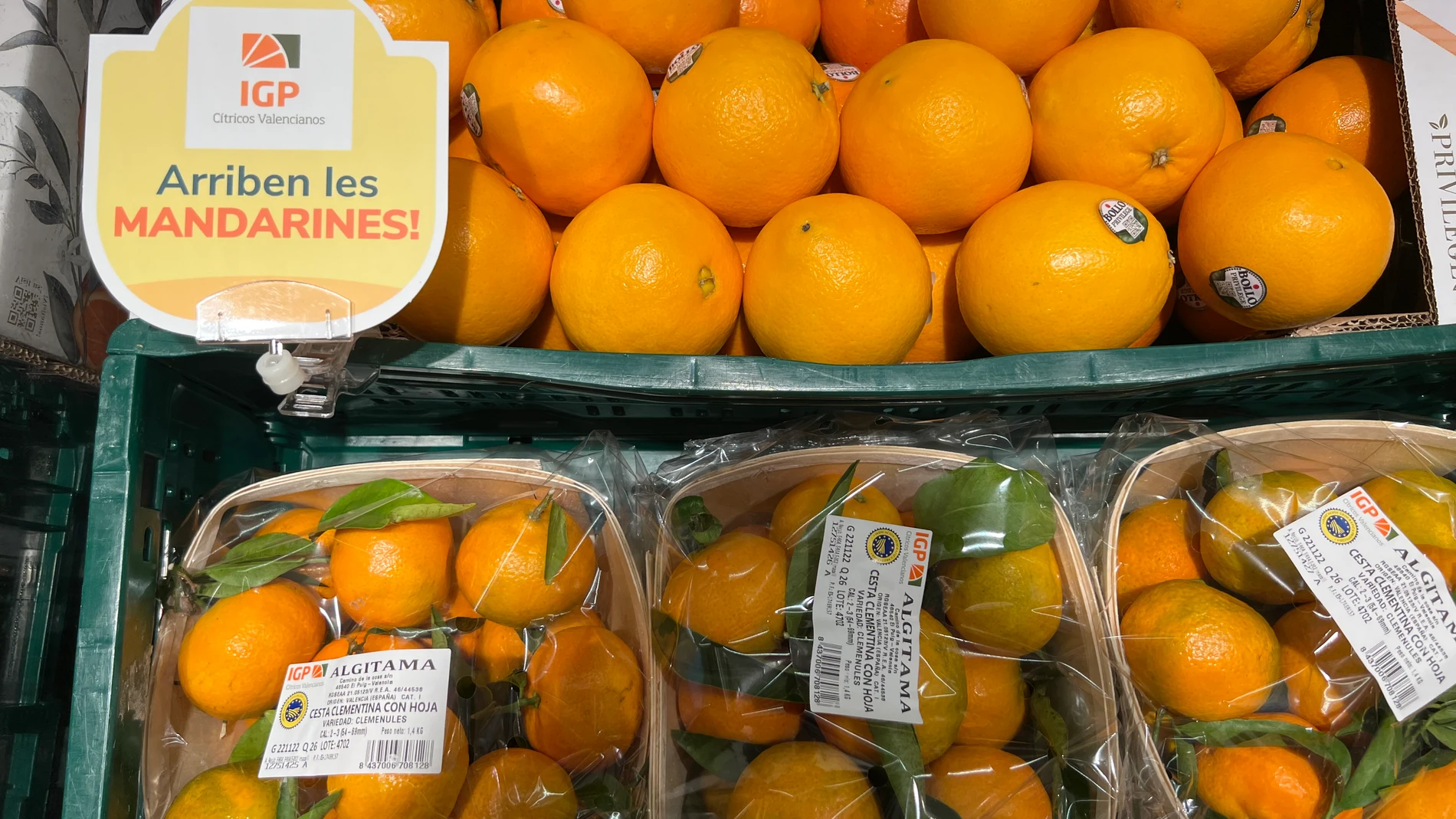 Imagen de cítricos valencianos en un supermercado de Consum