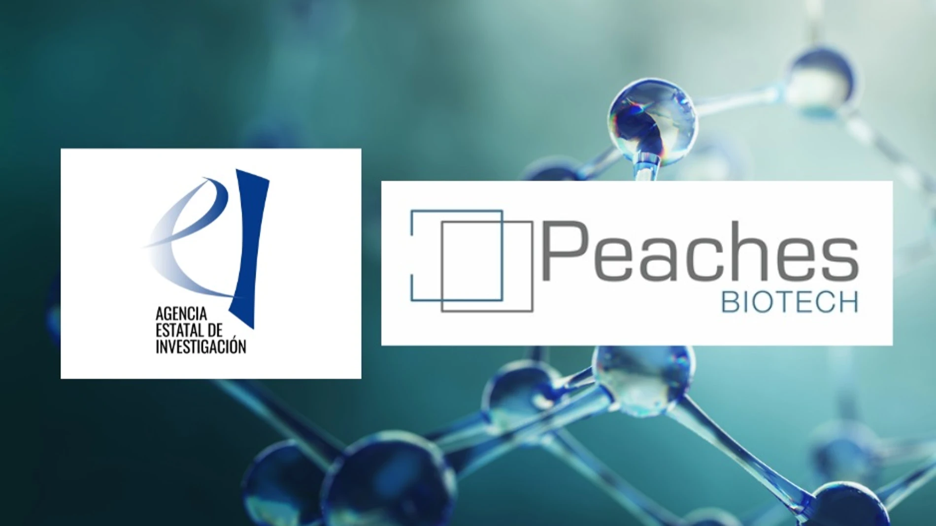 Peaches Biotech obtiene la aprobación financiera de Ciencia para dos proyectos de terapias avanzadas