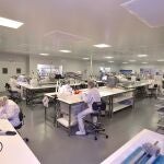 Las dos compañías españolas anuncian el lanzamiento de la división de Neurorradiología, que incluye catéteres para el tratamiento intervencionista del ictus isquémico restaurando el flujo de sangre.