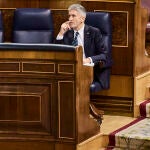 El ministro del Interior, Fernando Grande-Marlaska, durante la sesión de control al Gobierno el miércoles en el Congreso