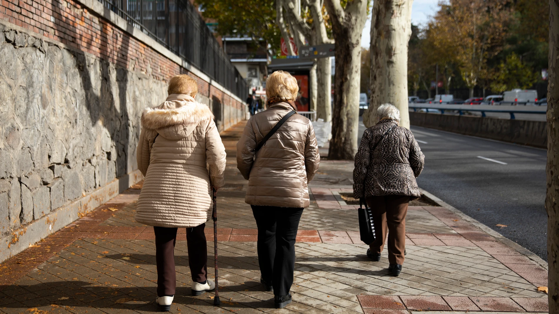 Tres mujeres mayores con bastones paseando por Madrid