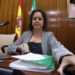 La consejera de Salud y Consumo, Catalina García, en comisión parlamentaria