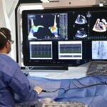 La sonda permite tener una visión 3D de la cardiopatía y visualizar el corazón en tiempo real