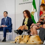 El presidente de la Junta de Andalucía, Juanma Moreno (c) junto a la presidenta de Cermi, Marta Castillo (d) en la reunión con representantes del Comité de Entidades Representantes de Personas con Discapacidad (CERMI-Andalucía)