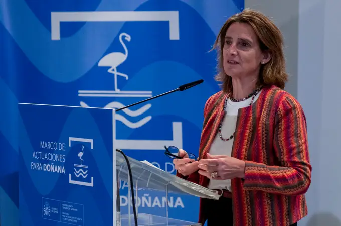Teresa Ribera recupera Doñana para la campaña: visita en Sevilla una exposición sobre el Parque en una fundación que preside