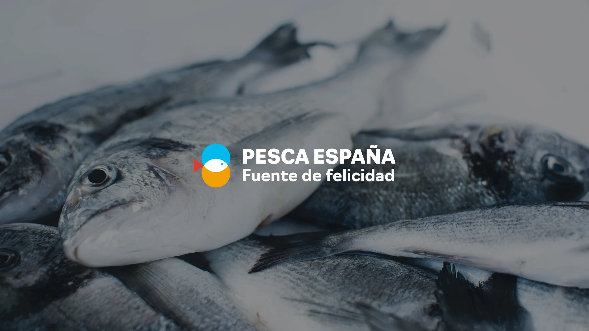 Imagen de campaña de Pesca España