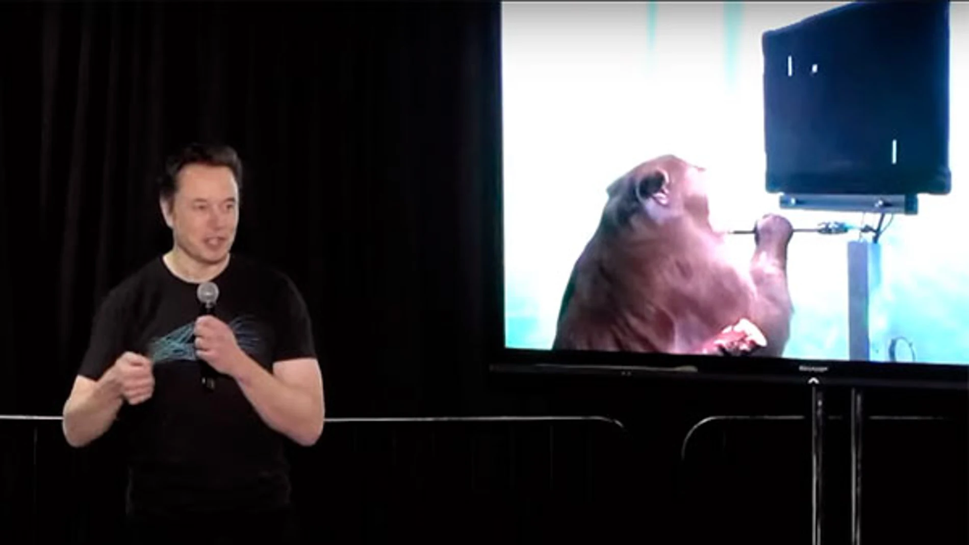 Elon Musk, durante el evento Show and Tell de Neuralink.