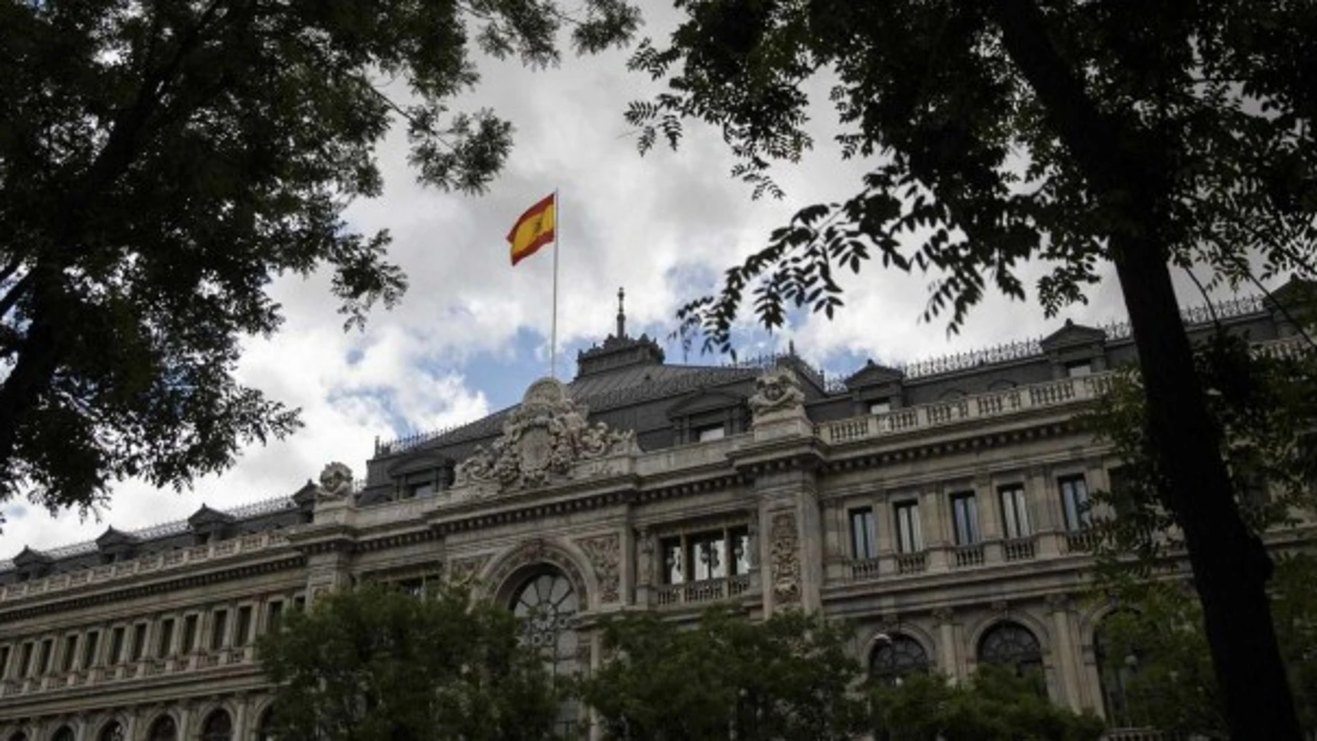Árboles en Banco de España