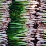 Una imagen de calçots, una de las tradiciones de la cocina catalana
