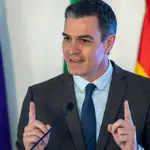El presidente de gobierno Pedro Sánchez durante su intervención en el acto en Jaén del anuncio de la inversión de CETEDEX que se ubicará en Jaén