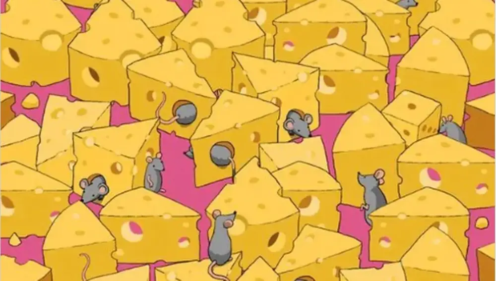 Encuentra el dado que se esconde entre tantos quesos y entre tantos ratones | Fuente: lanación.com.ar