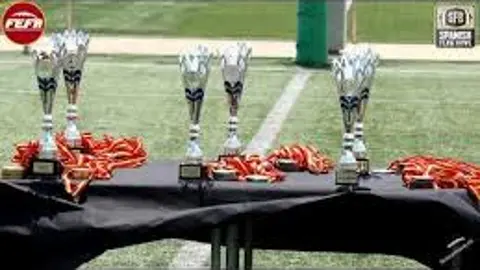 I Spanish Flag Bowl Inclusiva