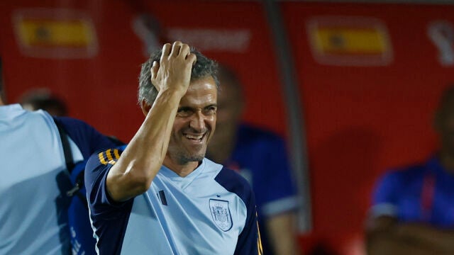 El técnico de la selección española, Luis Enrique. EFE / Juanjo Martín.