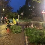 Incidentes en Marbella por el temporal. AYUNTAMIENTO DE MARBELLA