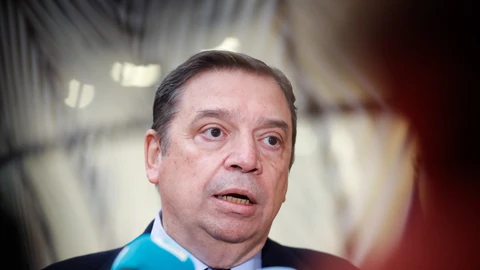 Luis Planas, ministro de Agricultura