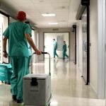 Un sanitario traslada un órgano para el trasplante en el Hospital La Fe, de Valencia
