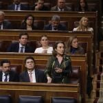Pleno en el Congreso pendientes de la decision del recurso presentado por el PP en el Tribunal Constitucional.