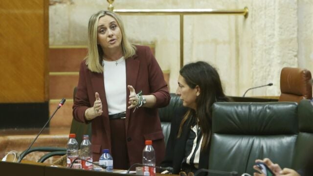 La consejera de Fomento, Marifrán Carazo, que suena como opción para Granada, en el Parlamento de Andalucía. JUNTA DE ANDALUCIA