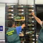 Intervenidos 1.469 kilos de cocaína ocultos en contenedores en el puerto de Algeciras (Cádiz) en una operación con 11 detenidos
