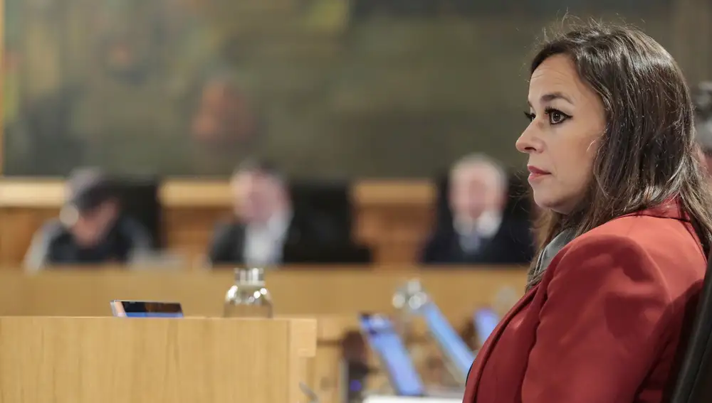Pleno extraordinario de la Diputación de León. en la imagen, el portavoz de Ciudadanos, Gemma Villarroel
