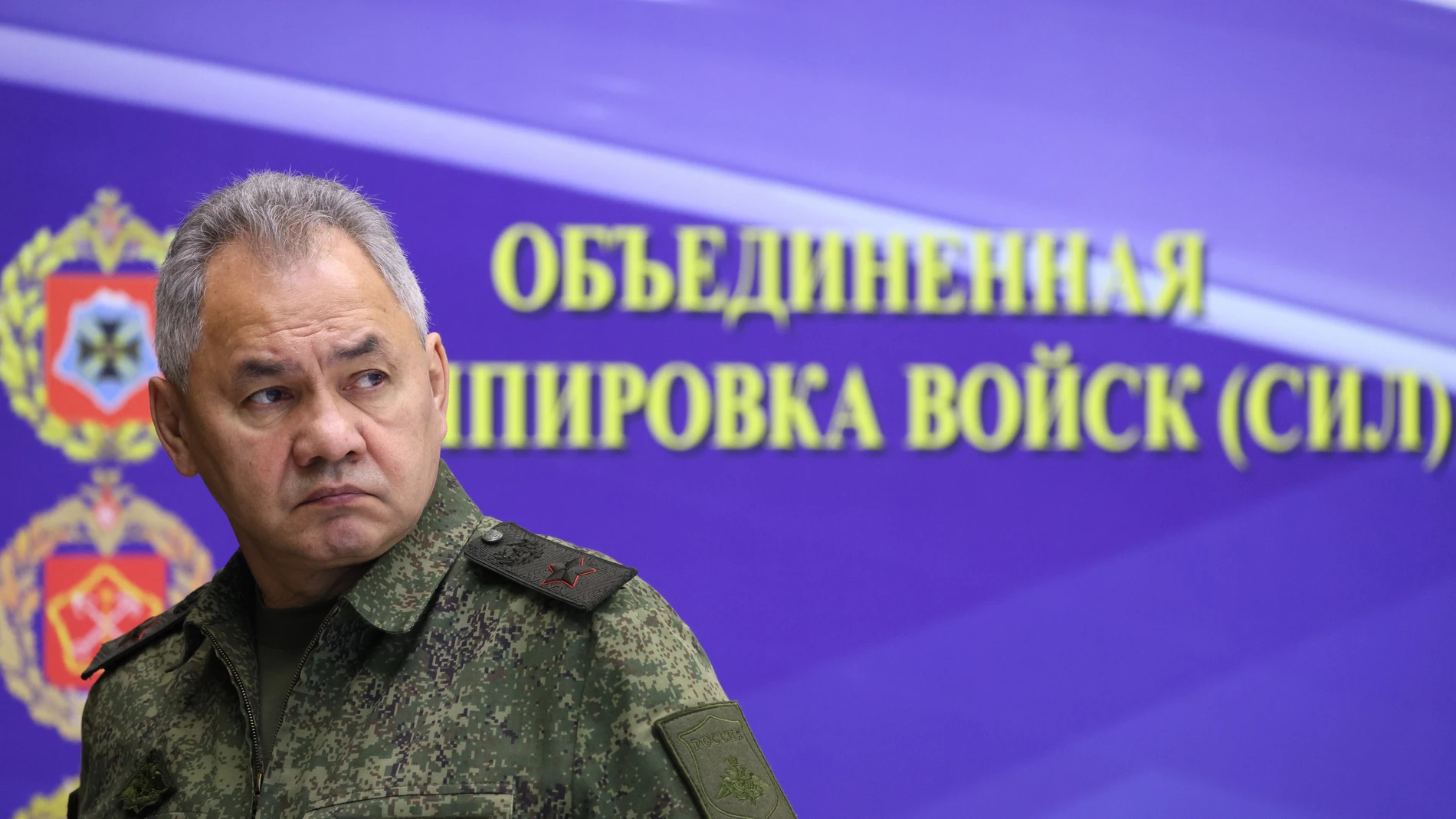 El ministro de Defensa ruso Sergei Shoigu