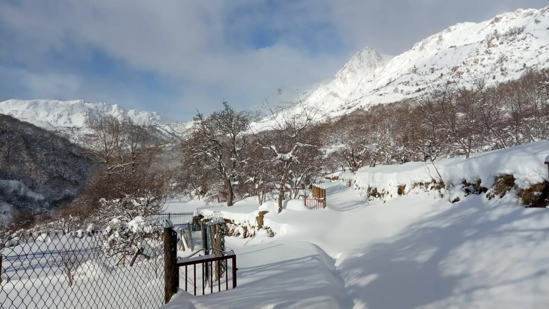 Invierno en la montaña de León