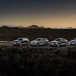 Static photo, Colour: Mythos Black metallic, Audi SQ8 e-tron Colour: Chronos Gray metallic, Audi Q8 Sportback 55 e-tron quattro Colour: Madeira Brown metallic, Audi SQ8 Sportback e-tron Colour: Ultra Blue metallic.