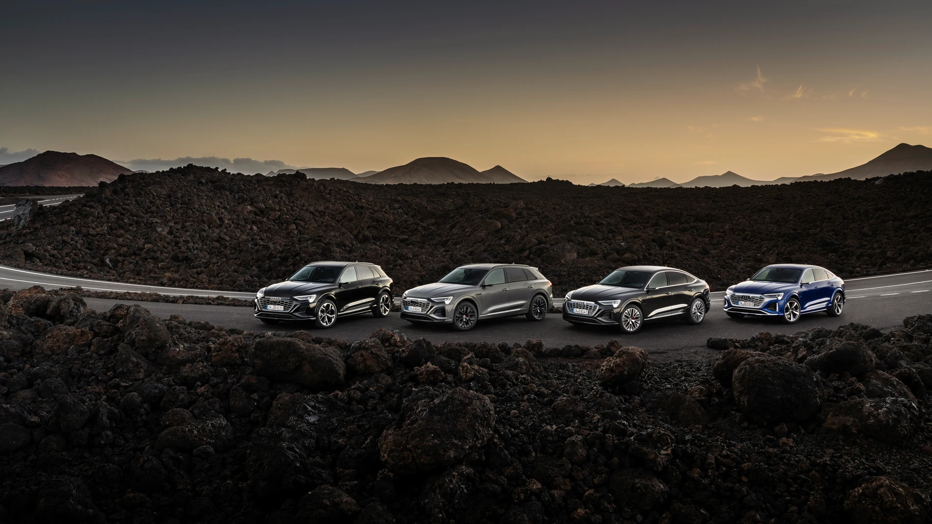 Static photo, Colour: Mythos Black metallic, Audi SQ8 e-tron Colour: Chronos Gray metallic, Audi Q8 Sportback 55 e-tron quattro Colour: Madeira Brown metallic, Audi SQ8 Sportback e-tron Colour: Ultra Blue metallic.